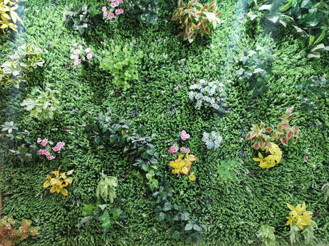 假綠植貼圖