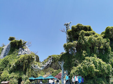 綠植景觀大門入口
