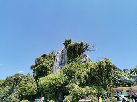 綠植景觀大門(mén)入口