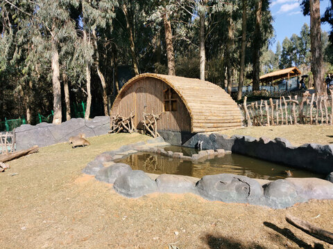 動(dòng)物園景觀