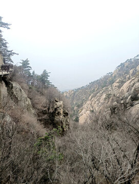 蒙山