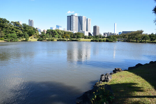 日本東京濱離宮恩賜庭園風景