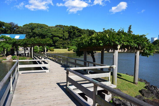 日本東京濱離宮恩賜庭園風(fēng)景