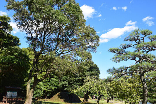 日本東京濱離宮恩賜庭園風(fēng)景