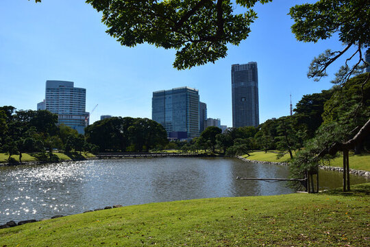 日本東京濱離宮恩賜庭園風(fēng)景