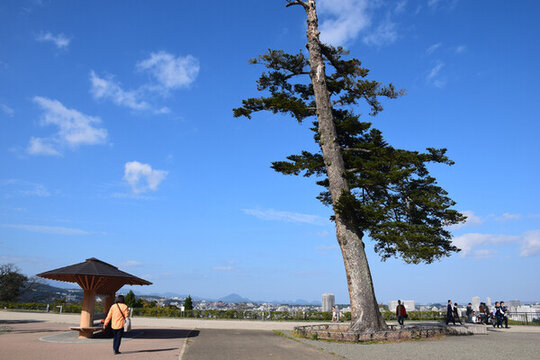 日本仙臺(tái)城市風(fēng)光