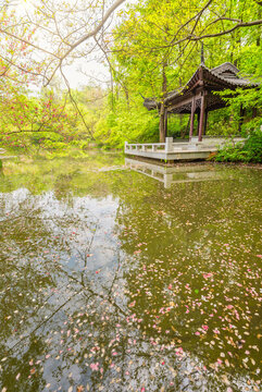 南京棲霞山桃花澗風(fēng)光