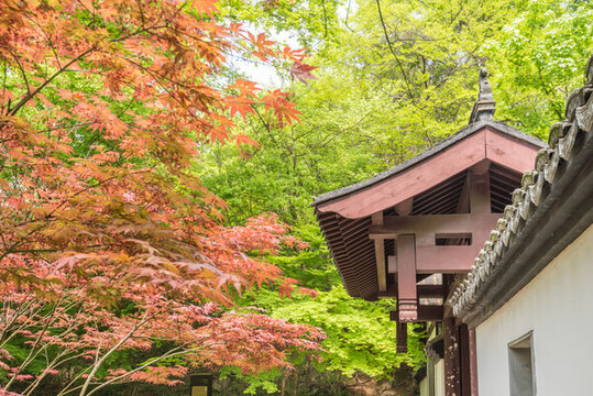 南京棲霞山楓葉古建筑