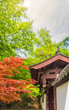 南京棲霞山楓葉古建筑