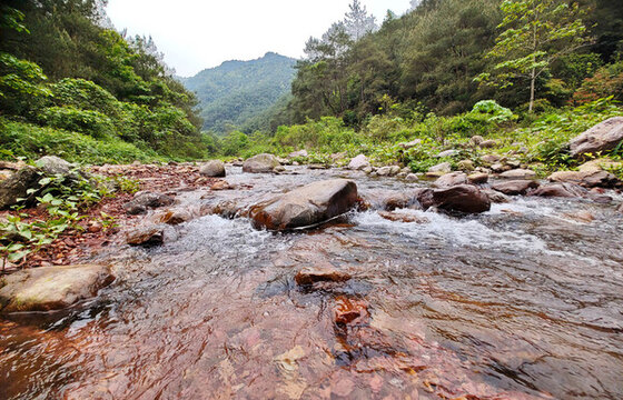 龍源山間溪流