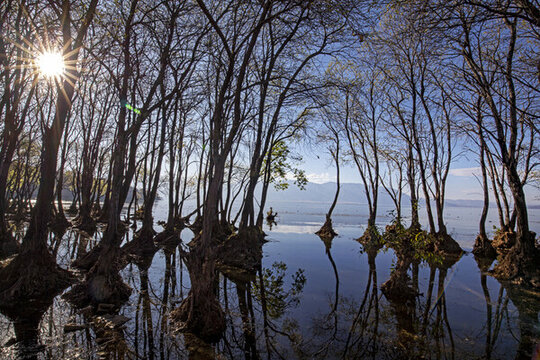 蒼山洱海