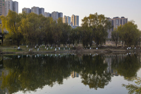 灃河