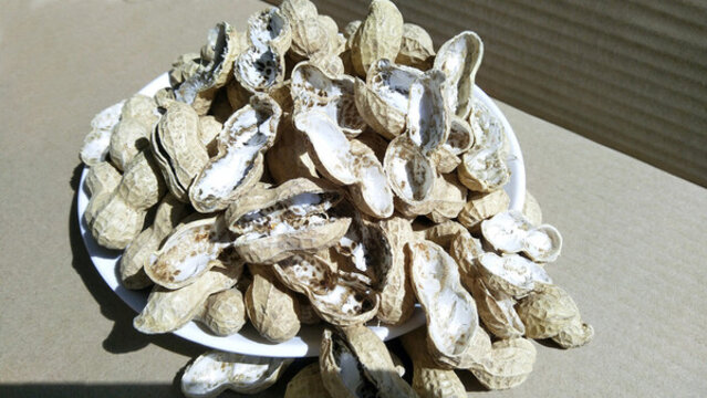 花生殼