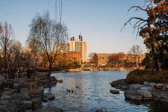 北京國際雕塑公園