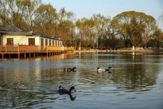 北京國(guó)際雕塑公園