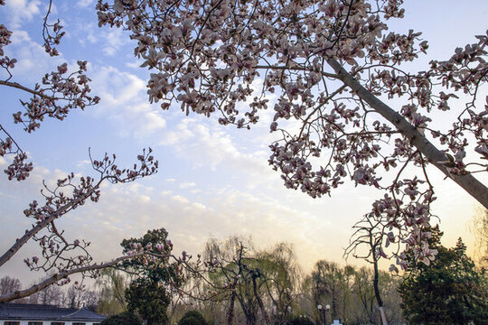 北京國際雕塑公園