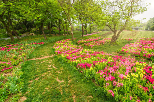 南京中山植物園風景