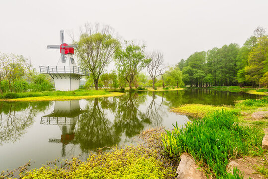 南京中山植物園風景