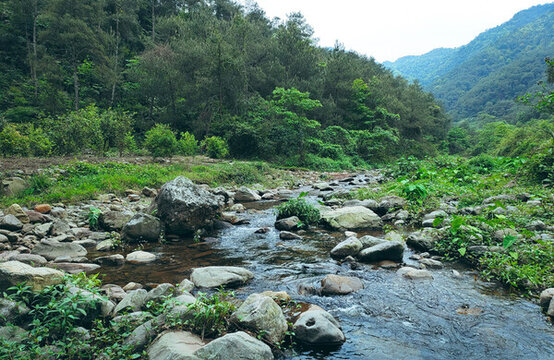 龍?jiān)瓷介g溪流