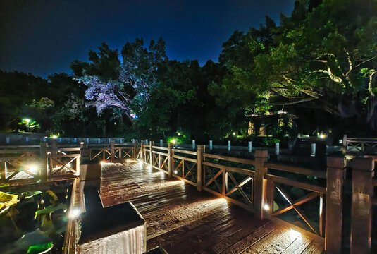 南寧南湖公園風光