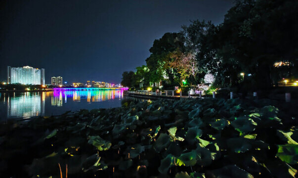 南寧南湖公園風(fēng)光