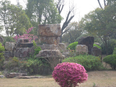 公園假山