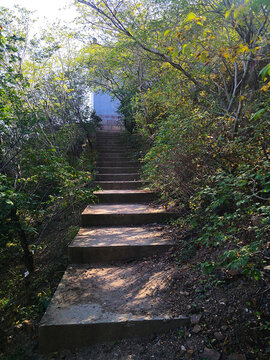 寺廟