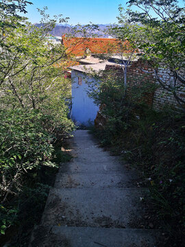 寺廟