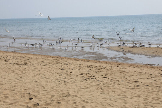 海灘