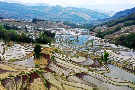 元陽梯田