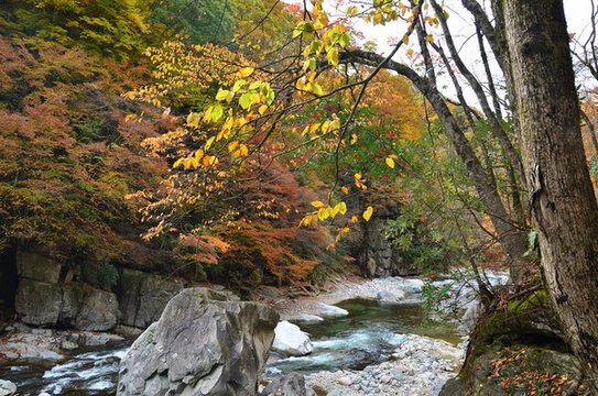 光霧山