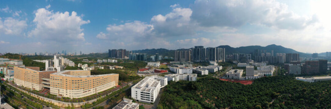 南方科技大學(xué)