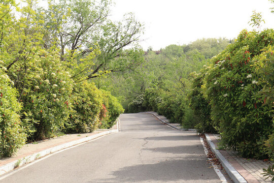 公園小路