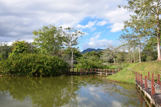 中科院西雙版納熱帶植物園