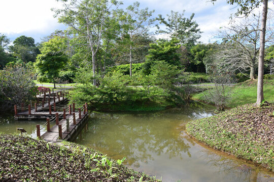 中科院西雙版納熱帶植物園