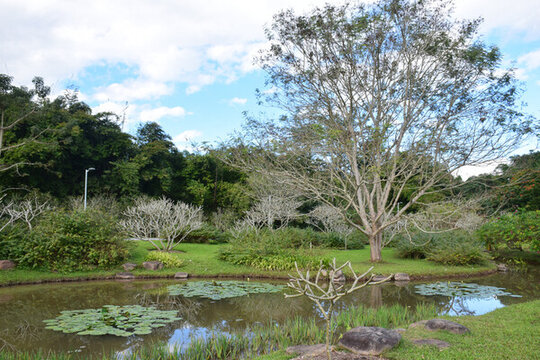 中科院西雙版納熱帶植物園