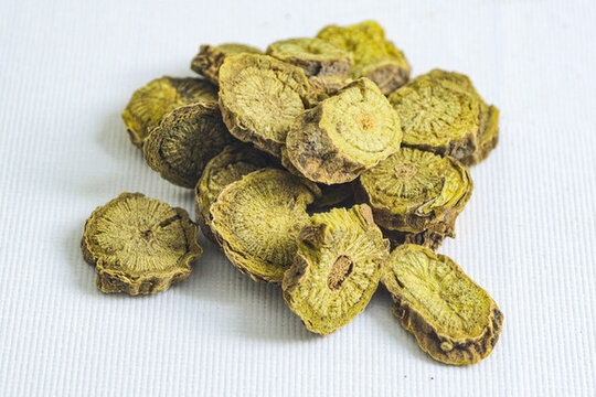 中草藥黃芩