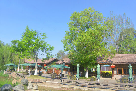 成都五鳳溪古鎮(zhèn)的茶館