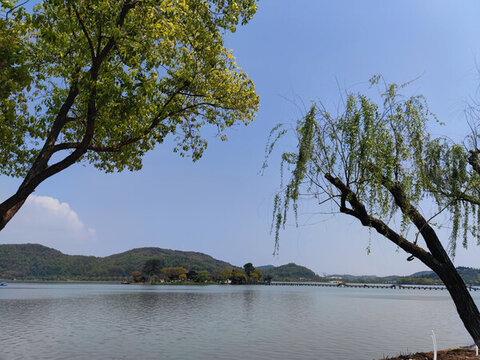 自然風(fēng)景湖泊南北湖