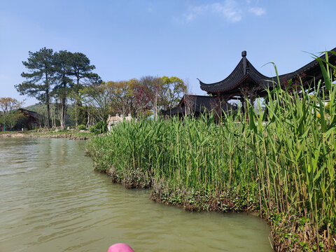 自然風(fēng)景湖泊南北湖