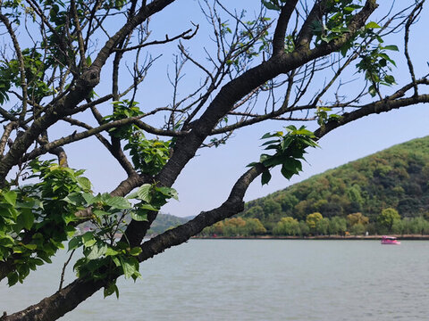 自然風(fēng)景湖泊南北湖