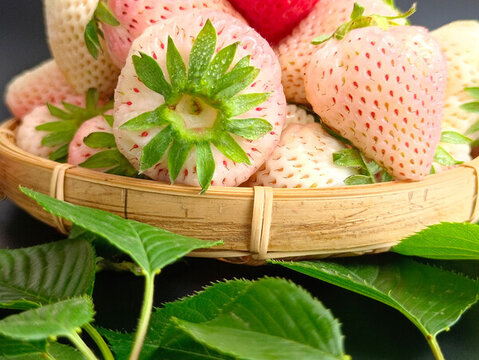 綠葉鮮白草莓靜物