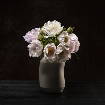 藝術(shù)花卉攝影