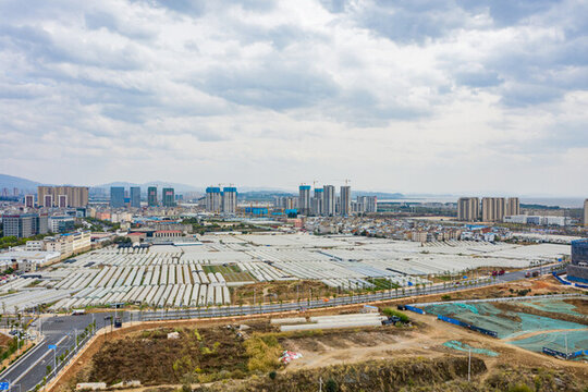 航拍云南昆明斗南花卉市場(chǎng)花市