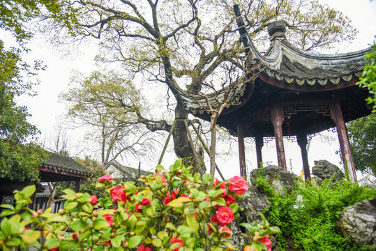 江蘇省蘇州市五峰園