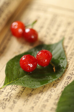 山櫻桃