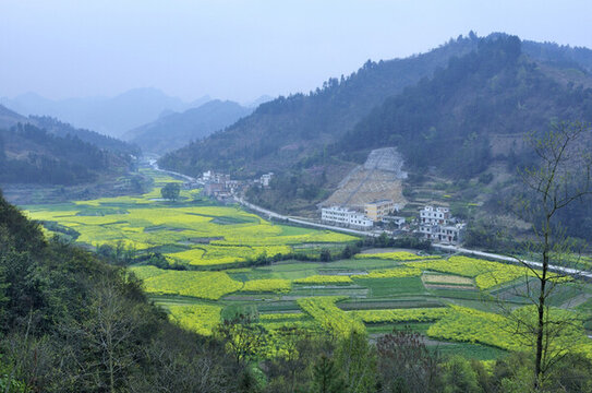 春天春色河池南丹風(fēng)光