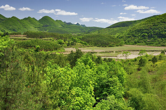 春天春色田園山野