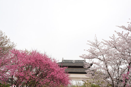 天空