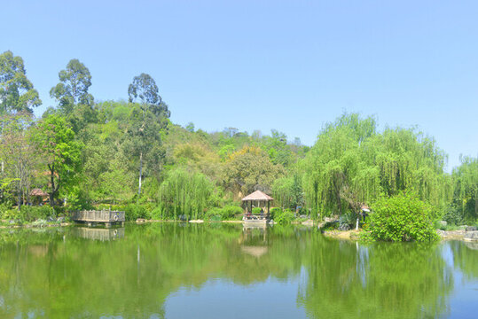 成都五鳳溪古鎮(zhèn)鳳池水景園林